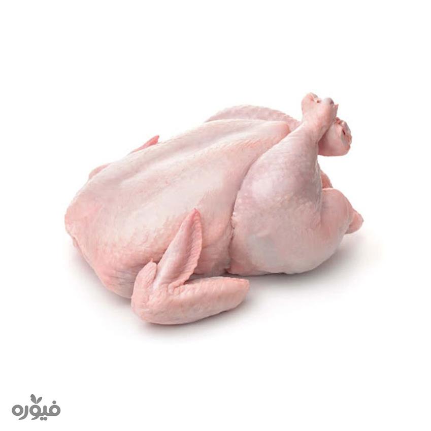 مرغ گرم روز وزن 1800 تا 2000 گرمی