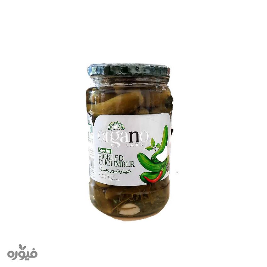 خیارشور ویژه 680گرمی اورگانولند