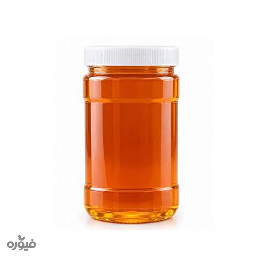 عسل طبیعی ۱ کیلویی برند گون