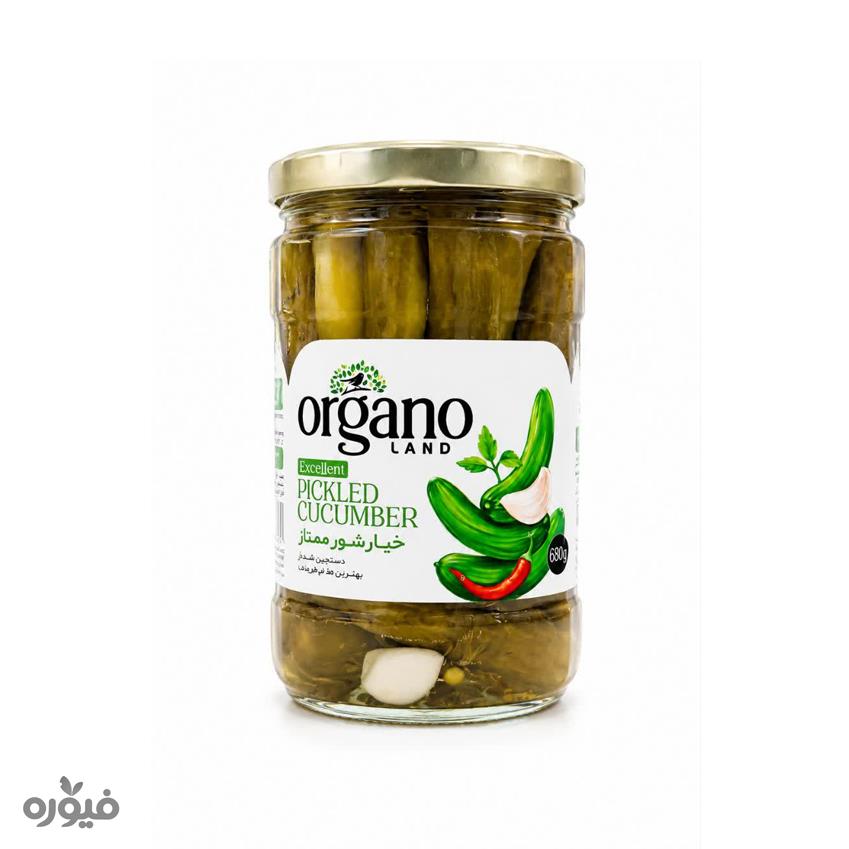 خیارشور ممتاز 680گرمی اورگانو