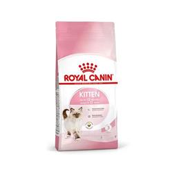 غذای خشک گربه کیتن فله Royal canin