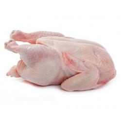 مرغ گرم روز وزن 2000 تا 2200 گرمی